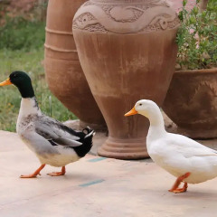 Отель Ecolodge Bab El Oued Maroc Oasis фитнесс-зал