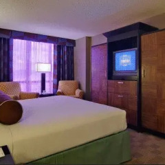Отель New York New York 4* Стандартный номер с различными типами кроватей фото 11