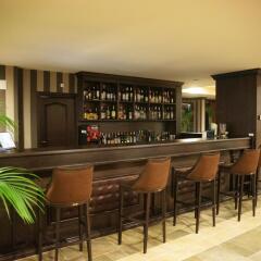 Royal Park Hotel гостиничный бар