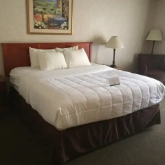 Отель Quality Inn & Suites Albuquerque Downtown - University 2* Стандартный номер с различными типами кроватей фото 3