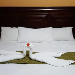 Отель Apart Hotel Pico Bonito Гондурас, Луизиана Ceiba - отзывы, цены и фото номеров - забронировать отель Apart Hotel Pico Bonito онлайн комната для гостей фото 5