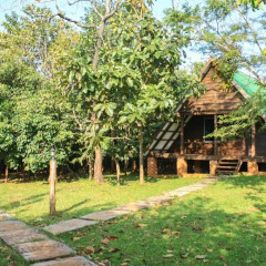 Отель Nature Lodge 2* Бунгало с различными типами кроватей фото 22