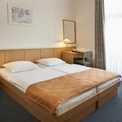 City Hotel Matyas 3* Стандартный номер с различными типами кроватей фото 3