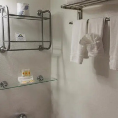 Lexington Hotel - Miami Beach 2* Стандартный номер с 2 отдельными кроватями фото 5