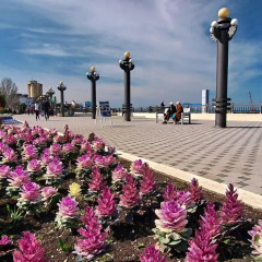 Гостиница Мишель пляж