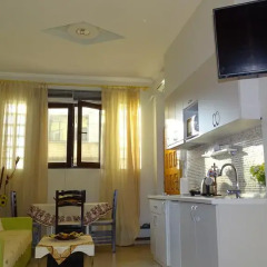 Апартаменты Apartment Shoshi Студия фото 2