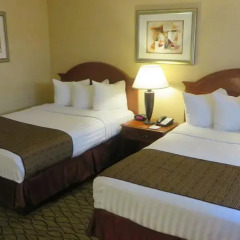 Отель Best Western Hollywood Plaza Inn 2* Стандартный номер с 2 отдельными кроватями фото 5