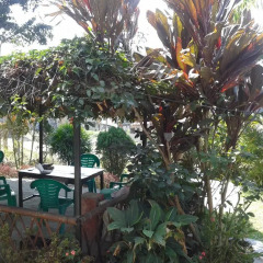 Отель Banana Garden Lodge Непал, Покхара - отзывы, цены и фото номеров - забронировать отель Banana Garden Lodge онлайн