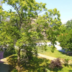 Отель Rentrooms Thessaloniki 3* Кровать в мужском общем номере фото 7