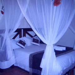 Отель Bothabelo Bed & Breakfast 3* Стандартный номер с различными типами кроватей фото 2