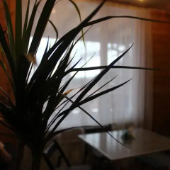 Crocus Art Hotel бассейн фото 2