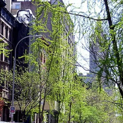 Отель Lincoln Center Apartments США, Нью-Йорк - отзывы, цены и фото номеров - забронировать отель Lincoln Center Apartments онлайн