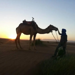 Отель Bivouac Karim Sahara Марокко, Загора - отзывы, цены и фото номеров - забронировать отель Bivouac Karim Sahara онлайн фитнесс-зал