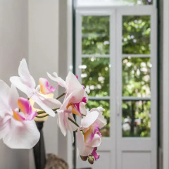 Отель Praça Das Flores спа