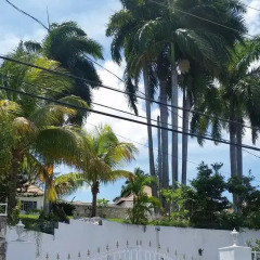 Отель A Piece of Paradise Montego Bay Ямайка, Монтего-Бей - отзывы, цены и фото номеров - забронировать отель A Piece of Paradise Montego Bay онлайн спортивное сооружение