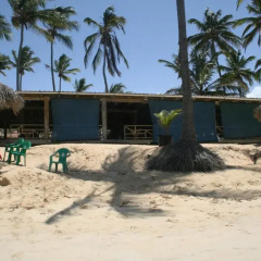 Отель Bavaro Green Доминикана, Пунта Кана - отзывы, цены и фото номеров - забронировать отель Bavaro Green онлайн детские мероприятия