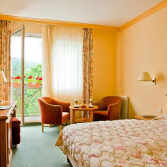Отель Danubius Health Spa Resort Butterfly 4* Стандартный номер с различными типами кроватей фото 2