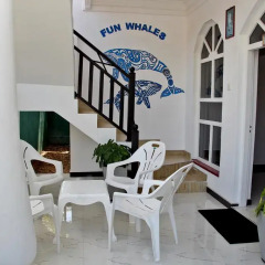 Fun whales Guest house and Hostel