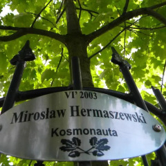 Отель KOSMONAUTY Вроцлав приотельная территория