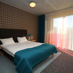 KURSHI Hotel & SPA 3* Стандартный номер разные типы кроватей фото 6