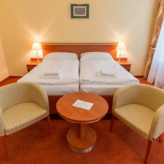 Spa Hotel Svoboda комната для гостей фото 5