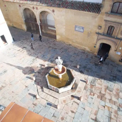 Отель Las Casas del Potro фото 4