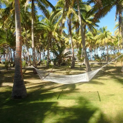 Отель Coconut Beach Resort фото 4