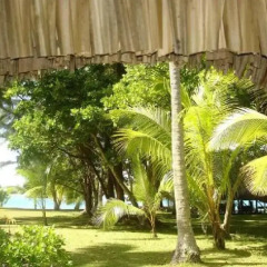 Отель Blue Heaven Island Французская Полинезия, Бора-Бора - отзывы, цены и фото номеров - забронировать отель Blue Heaven Island онлайн фото 2