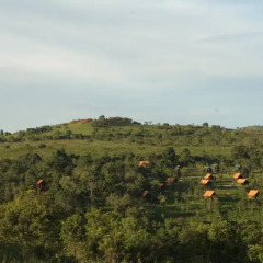 Отель Nature Lodge