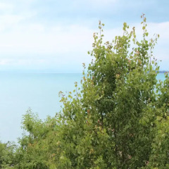 Отель Panorama South Болгария, Свети Влас - отзывы, цены и фото номеров - забронировать отель Panorama South онлайн пляж фото 2