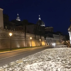 Hotel Pellegrino E Pace Лорето фото 3