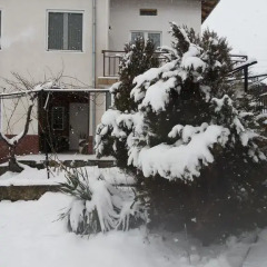 Отель Venikula Guest House 2* Стандартный номер фото 33