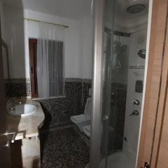 Hotel Vila Zeus 3* Стандартный номер с различными типами кроватей фото 4