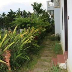 Отель Green Areca villa 3* Вилла с различными типами кроватей фото 10