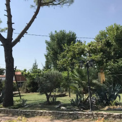 Отель Casa Algisa Италия, Монтегротто-Терме - отзывы, цены и фото номеров - забронировать отель Casa Algisa онлайн фото 3