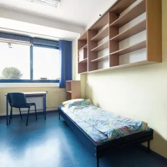 Dizzy Daisy Hostel Riviera Стандартный номер с различными типами кроватей фото 4