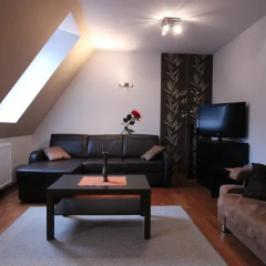 Отель Apartamenty Tetmajera Закопане комната для гостей фото 5