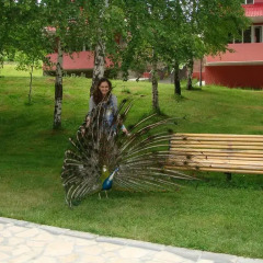 Отель Ani Resort Армения, Анкаван - отзывы, цены и фото номеров - забронировать отель Ani Resort онлайн фото 5