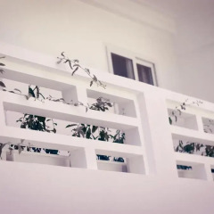 Ivy Hotel удобства в номере фото 2