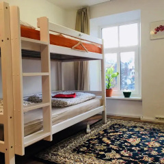Отель Tree House Кровать в общем номере с двухъярусной кроватью фото 4
