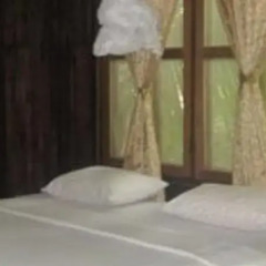 Отель Bellevue Bungalow комната для гостей фото 5
