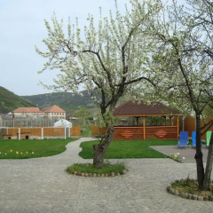 Гостиница Pid Zelyonym Dakhom Country House спортивное сооружение