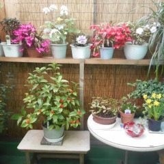 Jgh Tokyo Hostel Митака
