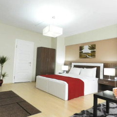Ada Apart Bakirkoy Vip Люкс с различными типами кроватей фото 6