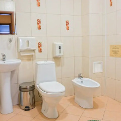 Гостиница Милославский 4* Номер категории Эконом с двуспальной кроватью фото 3
