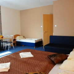 Hotel Papillon 3* Семейные апартаменты с двуспальной кроватью фото 4