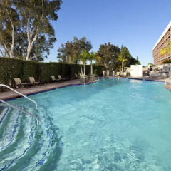 Отель Hilton Orange County/Costa Mesa бассейн фото 3
