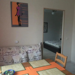 Гостиница Apartamenti na Vladimirskoy 7A в Пскове отзывы, цены и фото номеров - забронировать гостиницу Apartamenti na Vladimirskoy 7A онлайн Псков детские мероприятия фото 2