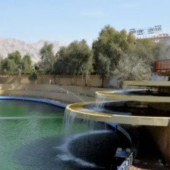 Отель One to One Hotel & Resort Ain Al Faida ОАЭ, Эль-Айн - отзывы, цены и фото номеров - забронировать отель One to One Hotel & Resort Ain Al Faida онлайн бассейн фото 2