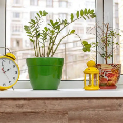 Хостел Кукуруза Бутик гостиничный бар